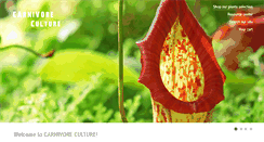 Desktop Screenshot of carnivoreculture.com