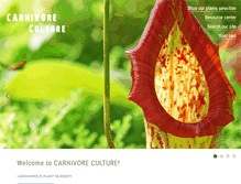 Tablet Screenshot of carnivoreculture.com